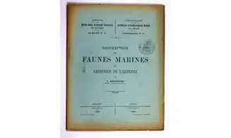 Description des fauves marines