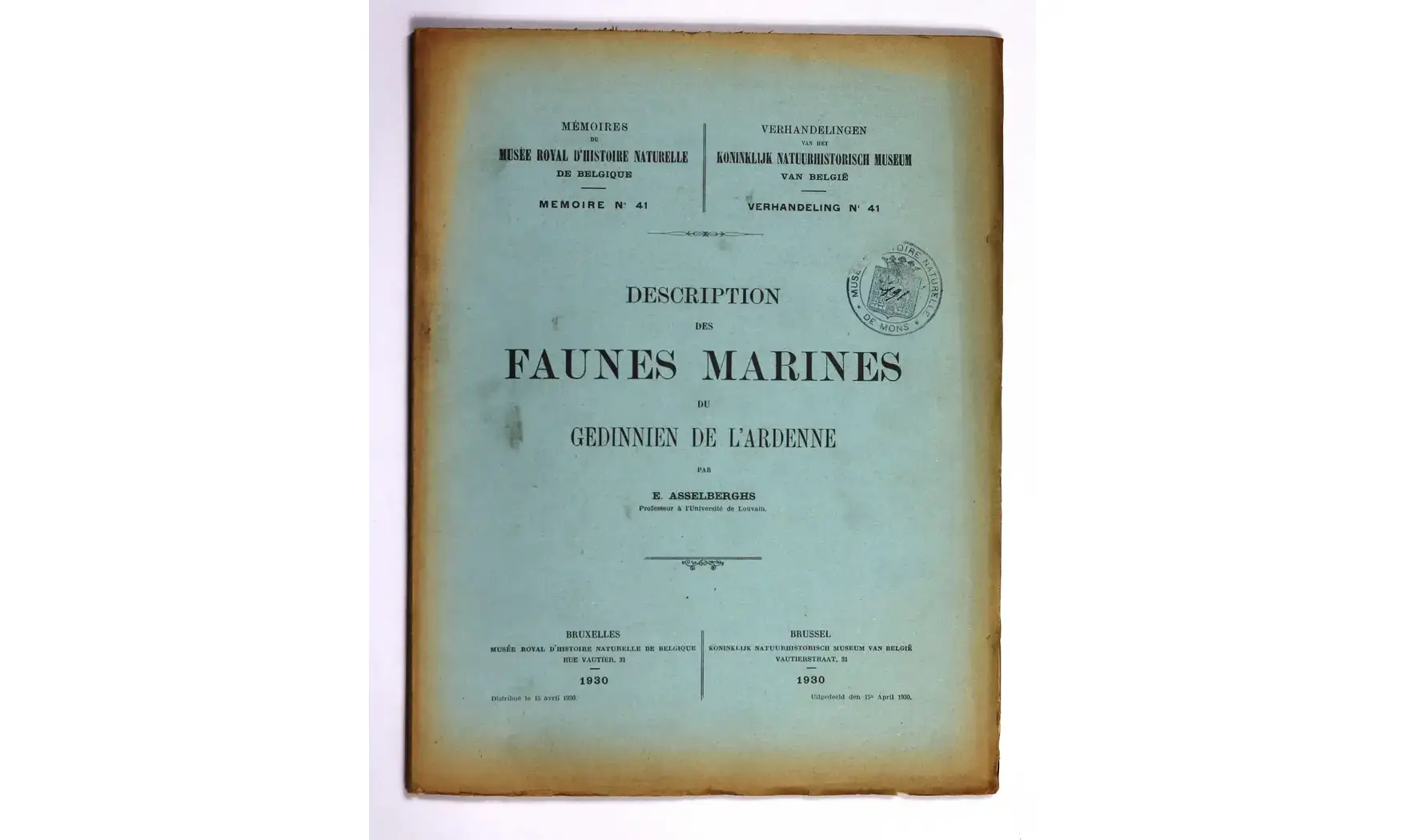 Description des fauves marines