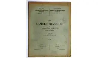 Les Lamellibranches du marbre noir