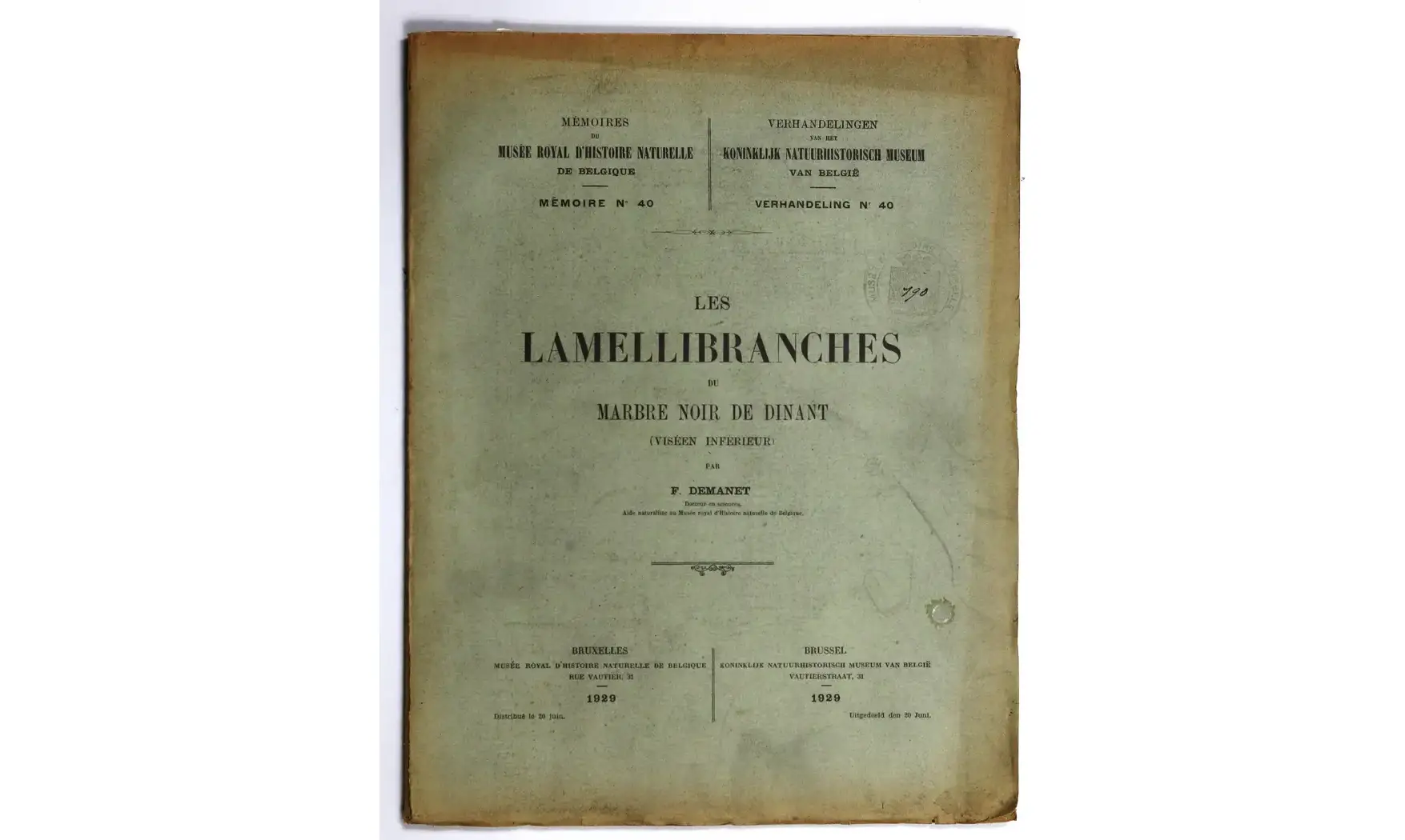 Les Lamellibranches du marbre noir
