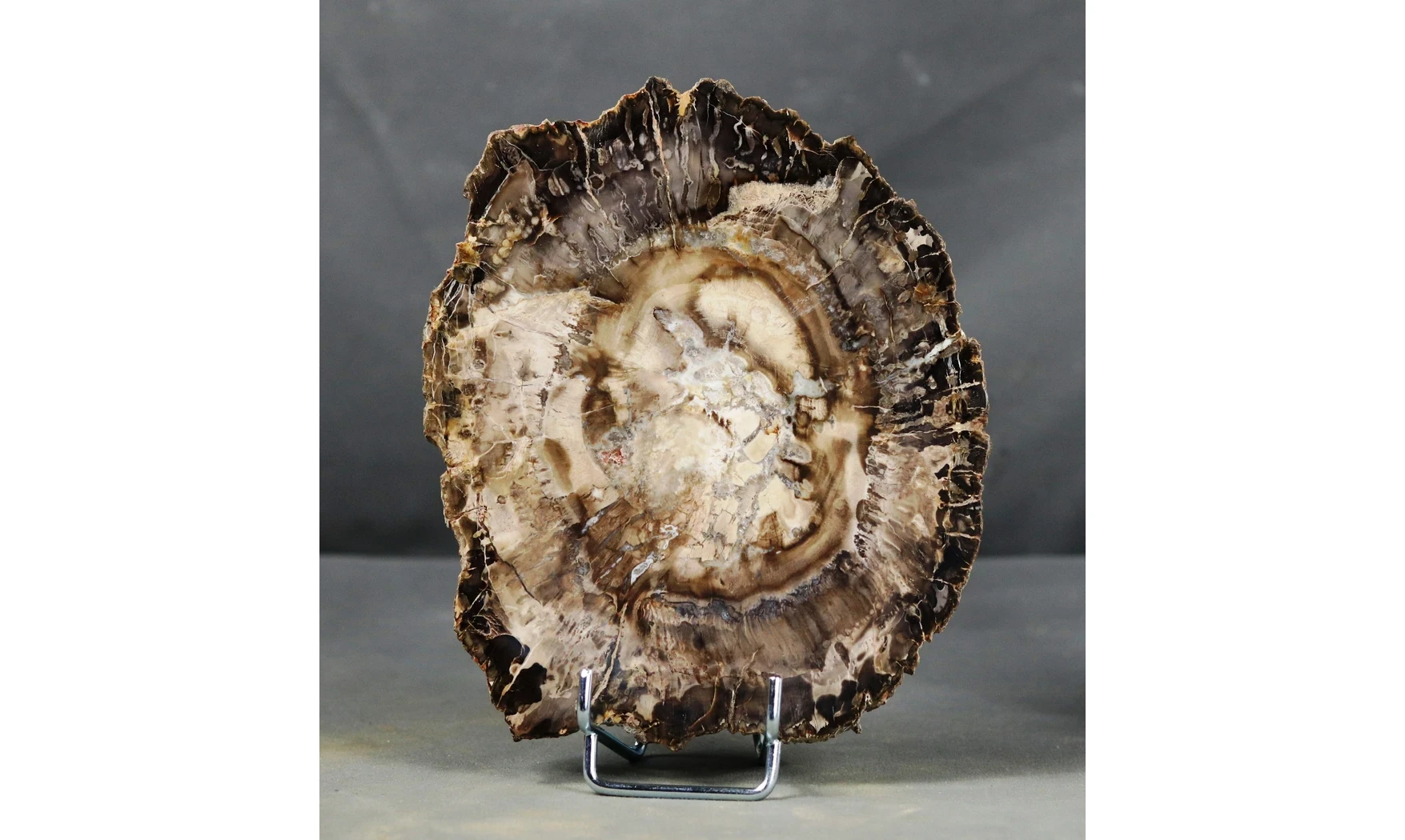 Fossil wood